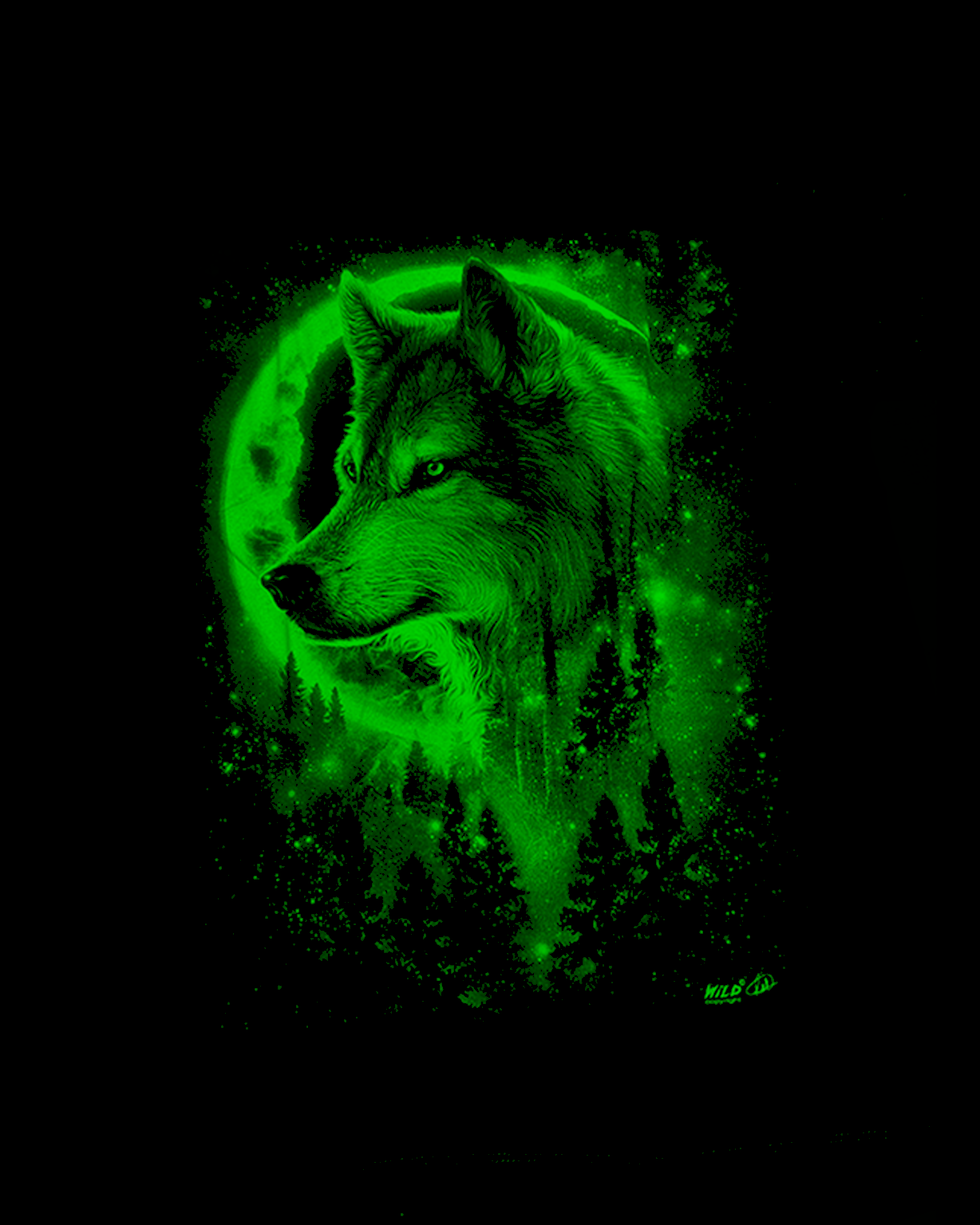 Wolf bei Nacht - Wild-Clothing